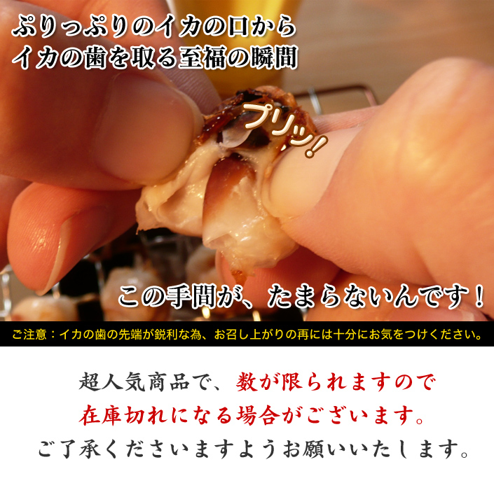 ぷりっぷりのイカの口からイカの歯を取る至福の瞬間 この手間が、たまらないんです！ご注意：イカの歯の先端が鋭利な為、お召し上がりの再には十分にお気をつけください。超人気商品で、数が限られますので在庫切れになる場合がございます。ご了承くださいますようお願いいたします。